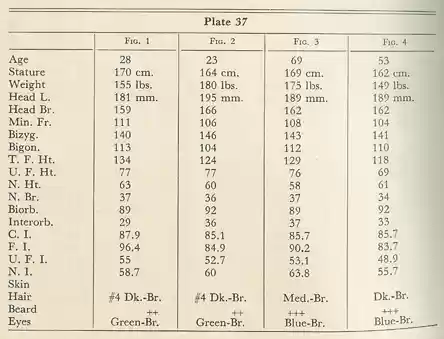 Plate 37